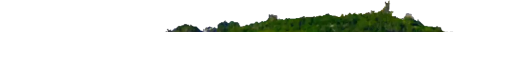 Layer006