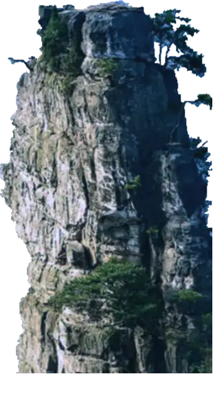 Layer007