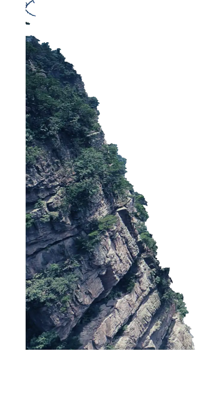 Layer008